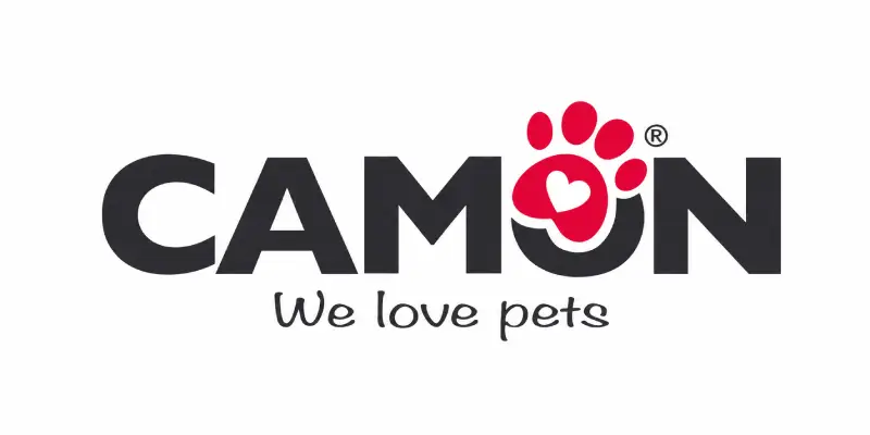 Camon logo 02.06.26