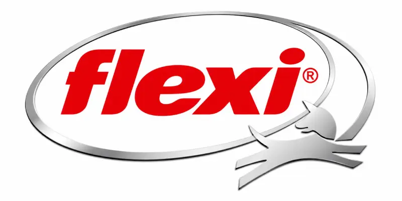 Flexi logo 02.06.26