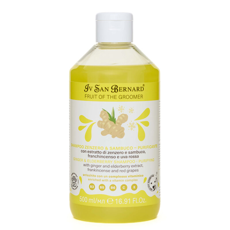 Шампунь Iv San Bernard Frutta Ginger and Elderberry дезінфікуючий для котів і собак, з бузиною та імбирем, 500мл (12 шт/уп)