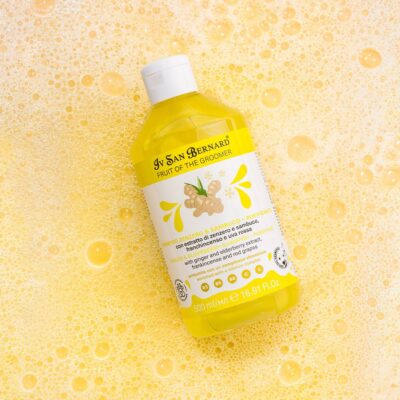 Шампунь Iv San Bernard Frutta Ginger and Elderberry дезінфікуючий для котів і собак, з бузиною та імбирем, 500мл (12 шт/уп) — фото 3